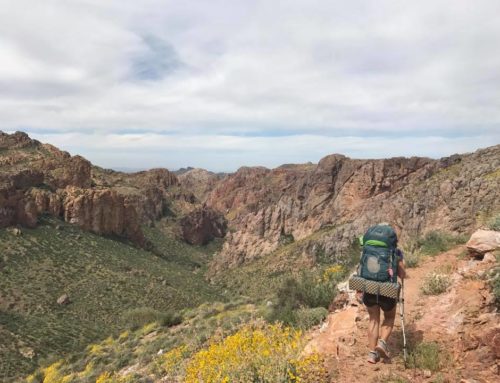 Everything you Need to Know about Thru-Hiking the Arizona Trail